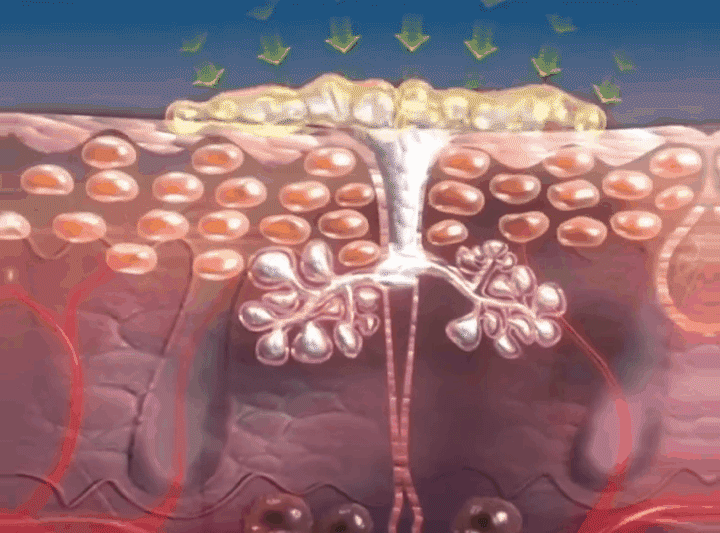 1782276721159246.gif